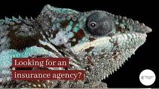 Your Search Ends Here: Top Insurance Agency in Fort Worth, TX