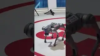 A robot dog took the spotlight at the 2025 (China) Eurasia Commodity and Trade Expo!