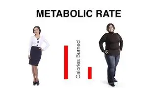 Metabolic during pregnancy - physiological changes during pregnancy