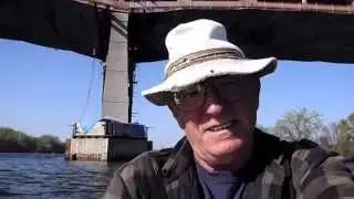 Herring and Catfish where are the Striped Bass! (upper Hudson River)