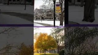 Experience the Seasons at Knox