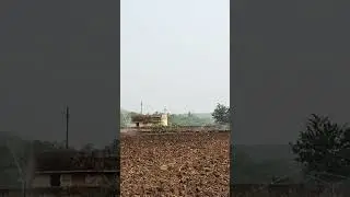 Irrigation In Gram ( Channa ) Agriculture ।। Farming