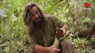 Serpientes - Documental 