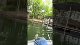 Dang! #fishing #youtubeshorts
