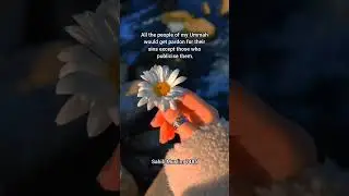 Reflecting on forgiveness||#shortsfeed#quotes#shorts#islam#islamic#shortvideo#trend#trending#allah