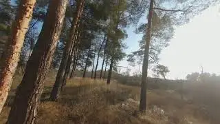 Попытка в синематик. Gyroflow + RunCam5 Orange