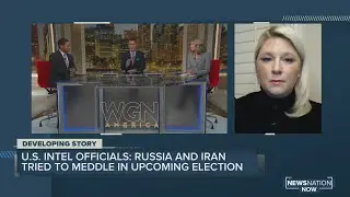 Cybersecurity expert on Iran and Russian election interference