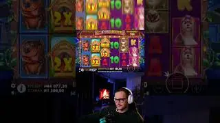 Сергей ТЕМЗА Занос в The Dog House Megaways #slot #slotmachine  #bigwin