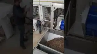 OS500 Paletli Kavurma Fırını 500kg/saat - OS500 Belt Type Roasting Machine 500kg/h #shorts