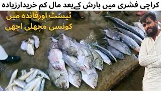 Karachi Fish Harbor Latest Updates | How to buy Fresh Fish in Pakistan | Karachi Fishery