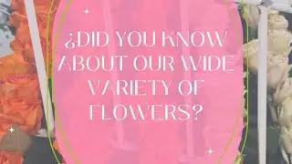 THE DIVERSITY OF FLOWERS 💐