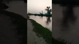 Naher bwp #bollywood #hindisong #skhvlogs #viral#viralshort #viralclips #viralvideos #unfrezzmyaccou