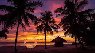 نسمة ليل | Night Breeze