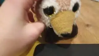 sub to Bedicks friend!