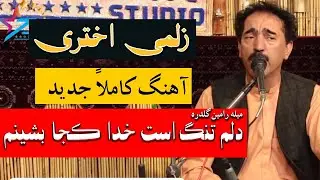 زلمی اختری آهنگ دلم تنگ است خدا کجا بشینم میله رامین گلدره