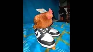[FREE FOR PROFIT] GOOFY AHH X MEME X FREESTYLE TYPE BEAT 