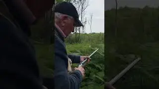 Darne in action ⚔️ #shoot #old #darne #trap #games #nature #action #epic #beautiful #wow