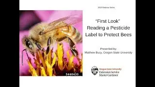 &ldquo;First Look&rdquo; Reading a Pesticide Label to Protect Bees