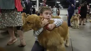 Chasing Down A Dream-2024 GRCA National Specialty Highlights