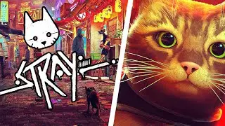 Stray Game Review - 4K Gameplay