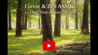 (Pine Forest) Zen ASMR for Deep Sleep and Inner Healing #WonBuddhism #mindful #Buddhism