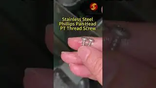 Stainless Steel Cross Recessed Pan Head PT Thread Self Tapping Screw For Plastic #panheadscrew