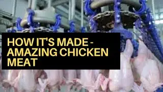 How It's Made - Amazing Chicken Meat Processing Poultry Factory