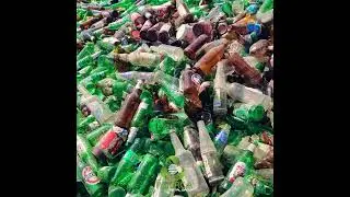 Selecteaza corect deşeurile de Sticlă, PET, Metal, Carton sau Electrocasnice - PAJURCA Metal Group