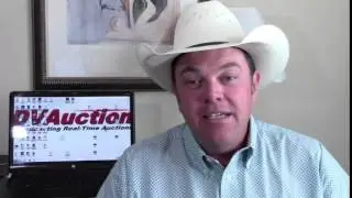 3 Minutes:  Continued Cash Feeder Gains