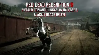Red Dead Redemption 2 Macar Melezi,i Piebald Tobiano Hungarian Halfbred