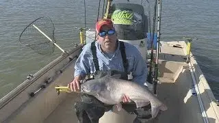 Fox Sports Outdoors SOUTHWEST #4 - 2014 Blue Catfish Special