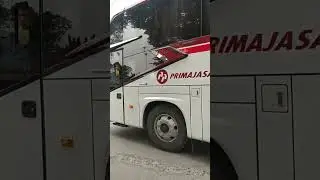 Bis Primajasa || From Merak Cilegon Serang to Tanjung Priok #shorts