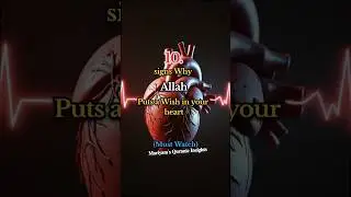 signs why Allah puts a wish in your heart? ❤️ #islamicshorts #muslimcontent #quranicblessings