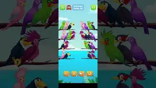Bird Sort Puzzle! 😍