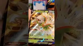 Silver Tempest Pulls: Chesnaught V! #pokemon #pokemontcg #silvertempest