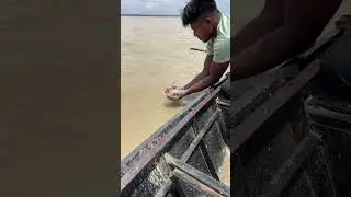 Unique hand fishing from the Padma River 🐟✋ | Real river fishing skill