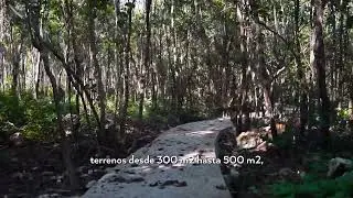 Un para&iacute;so nace: avance de obra Mayakoba Country Club