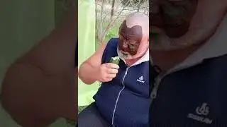 Дерево Оборотень очень страшно любит огурцы #funny #music #artist #cat #дети #kitten #топ #family