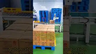 Automated palletizing production line equipped with collaborative robots that are easy to operate.