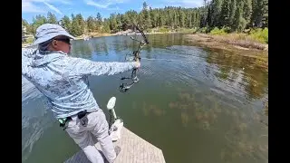 Bowfishing for Carp - Big Bear Lake (Aug 20, 2025)
