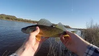 Walleye and Sauger Fishing - Wisconsin River - Prairie du Sac Dam