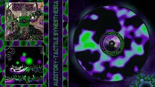 FRAXENON - Auditory-Tactile Synesthesia
