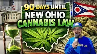 Ohio's New Cannabis Law Takes Effect in 90days