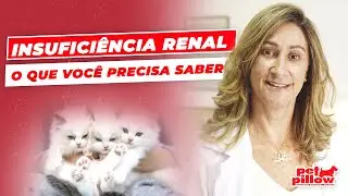 Como prevenir a insufici&ecirc;ncia renal em gatos? | Problemas renais felinos | Dra. Michele Sandrault