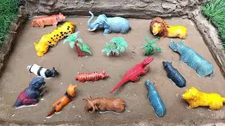 Cleaning Toy Animals - Elephant, Rhino, Tiger, Cow, Fox, Dog, Bear, Lion, Cheetah and Buffalo 