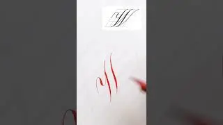 Copperplate capital W #calligraphy #copperplate #calligraphybeginner #calligraphynewbie