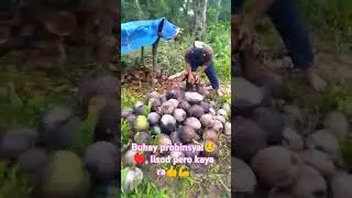 pakabuhi lng ta ug tarong, mkalampas ghapon ta sa mga pagsulay sa Ginoo. kayanon tnan pra sa pamilya