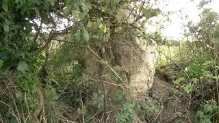 St Eval Church Stones - Ancient Cornwall