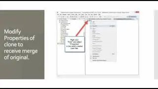Guide to Pruning WTX / ITX Type Trees