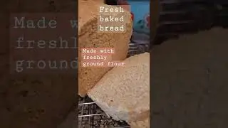 Homemade bread using wheat berries. #wheatberries #homemadebread #freshlybaked